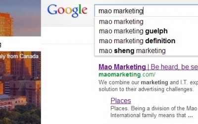 How does a search engine work?